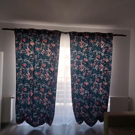 Casa Brianna Daire Braşov Dış mekan fotoğraf