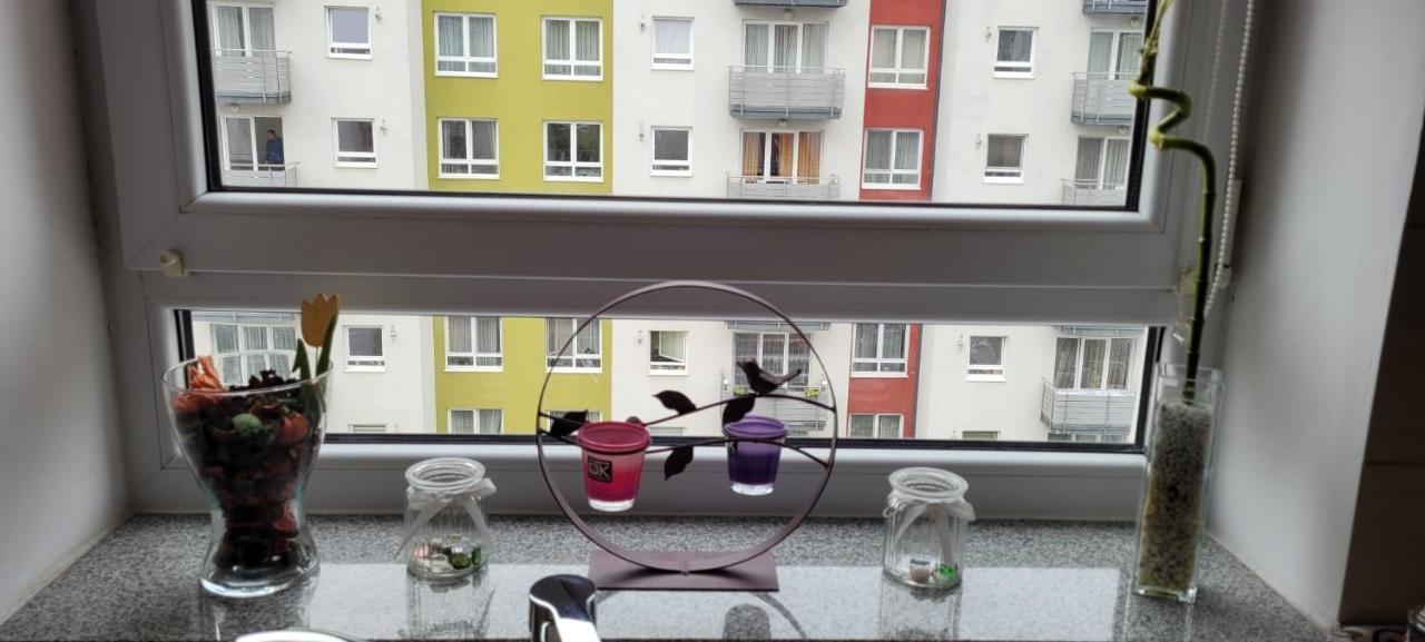 Casa Brianna Daire Braşov Dış mekan fotoğraf